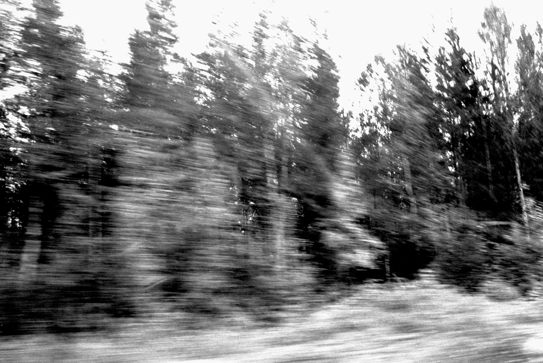 Fibonacci Kinesis — blurred black and white photo of a forest shot from a moving vehicle in northern Sweden, with a disorienting Fibonacci-spiral sense of movement.