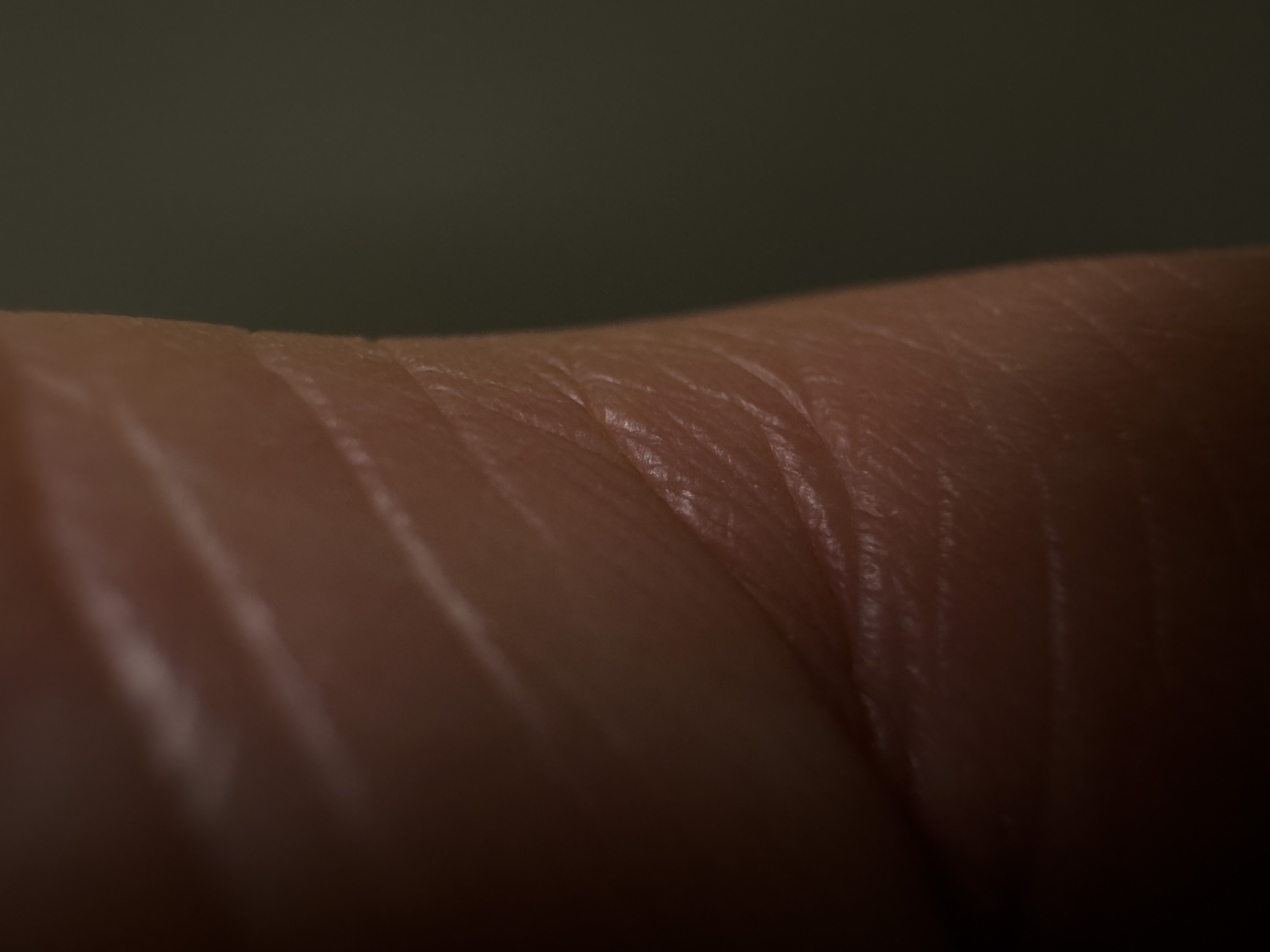 c41shawn photography